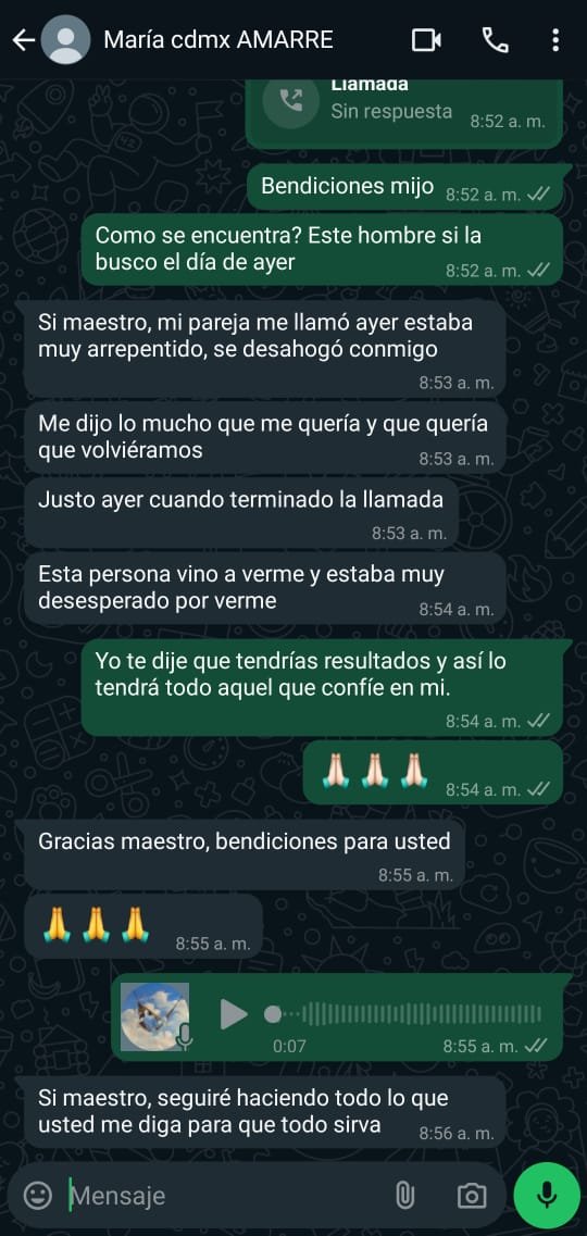 MAESTRO-1.jpg